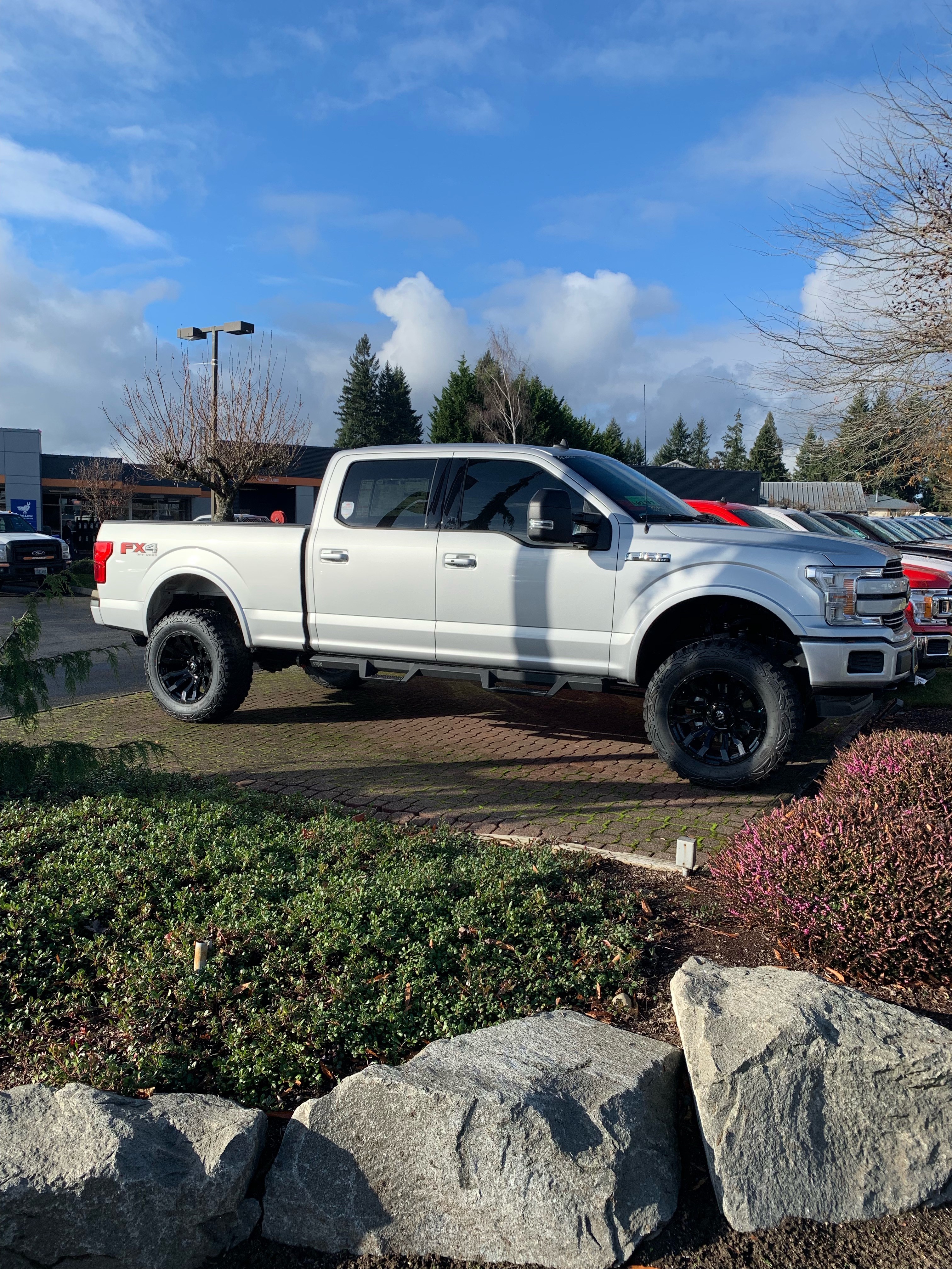 DSI lifted Ford F-150 2009